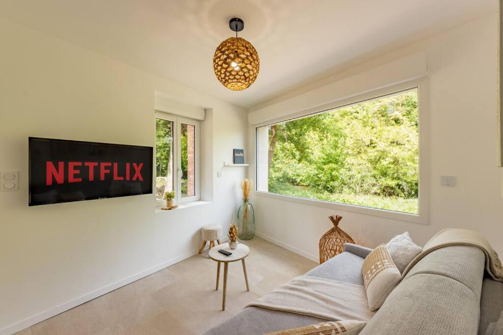 Le Rivera - Clim - Parking - Netflix - Nestor & Margot Auterive  Экстерьер фото
